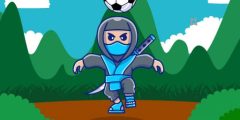 Ninja Head Ball